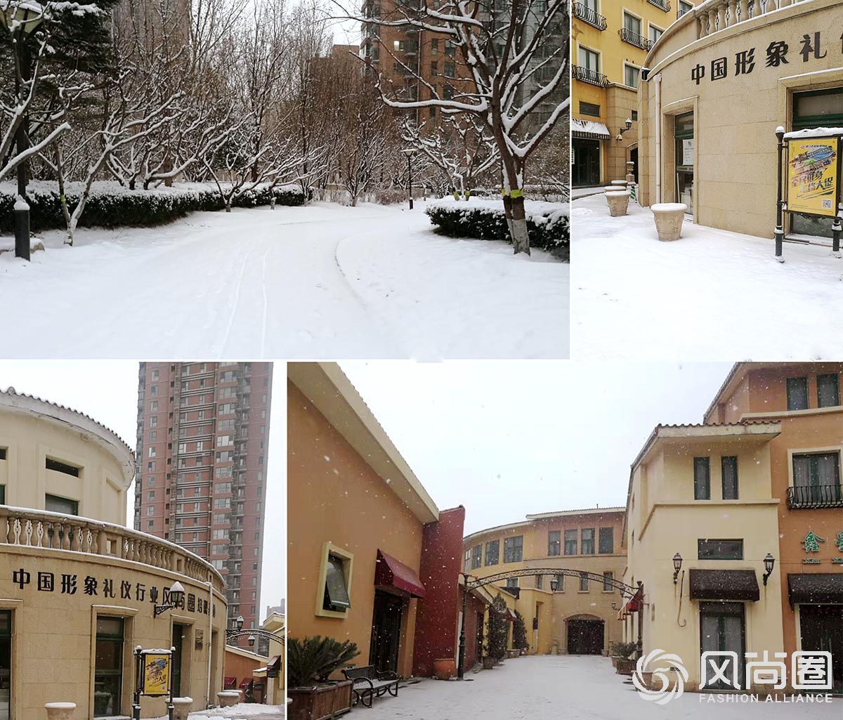北京迎来了农历庚子鼠年的第一场瑞雪